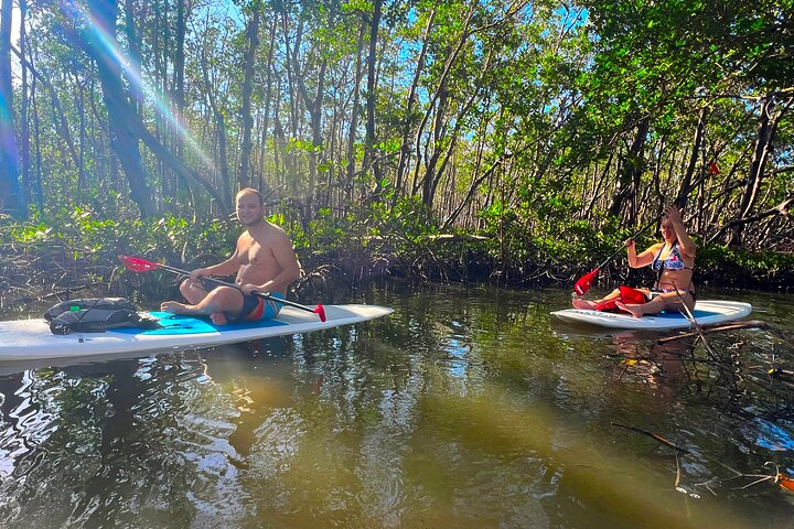 Self Guided Standup Paddle Board EcoTour -Bonita Springs - Photo 1 of 7